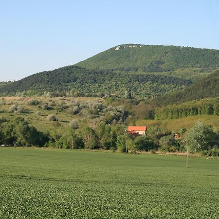 Hostal Malomdűlő Farmház Pilisborosjenő Exterior foto