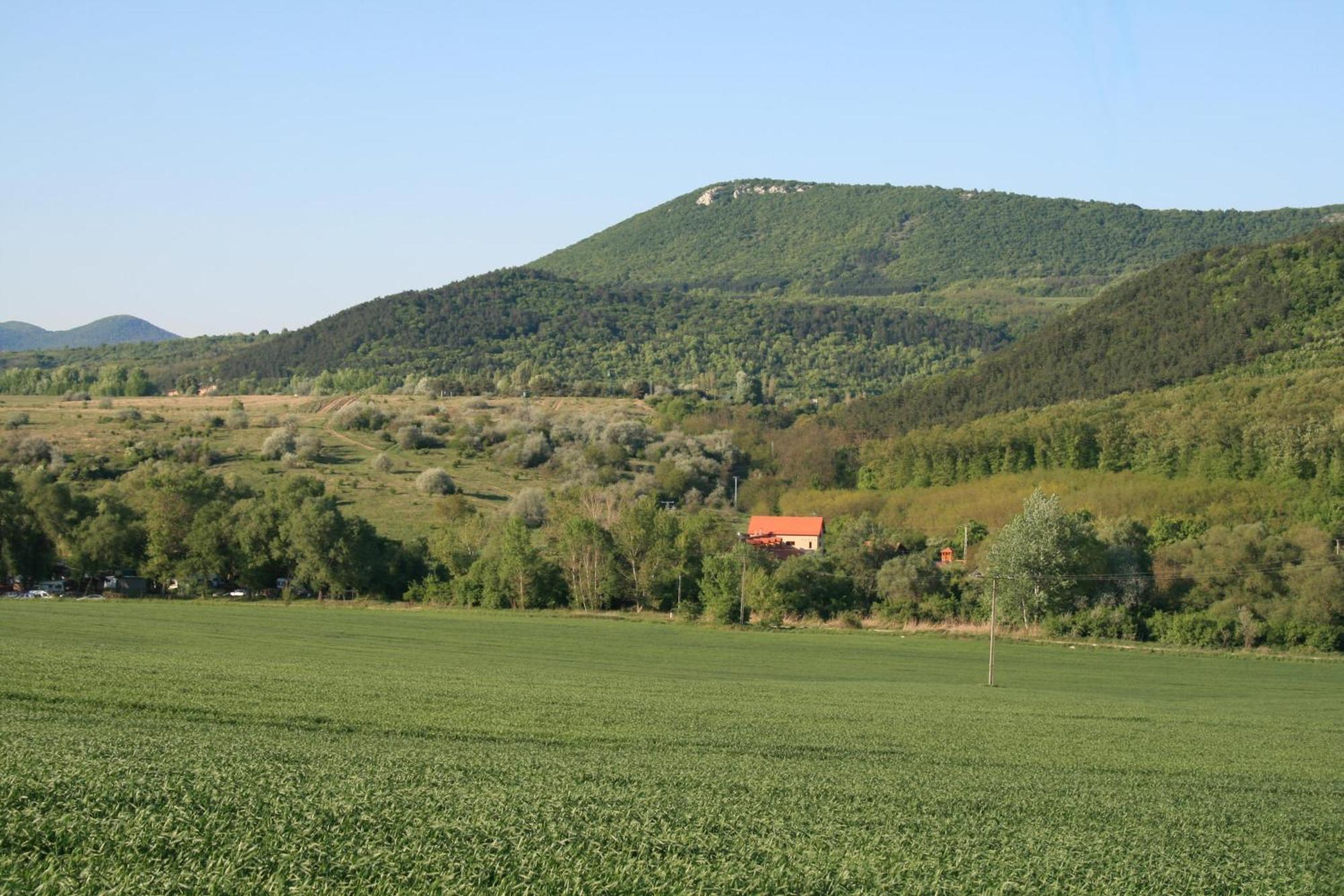Hostal Malomdűlő Farmház Pilisborosjenő Exterior foto