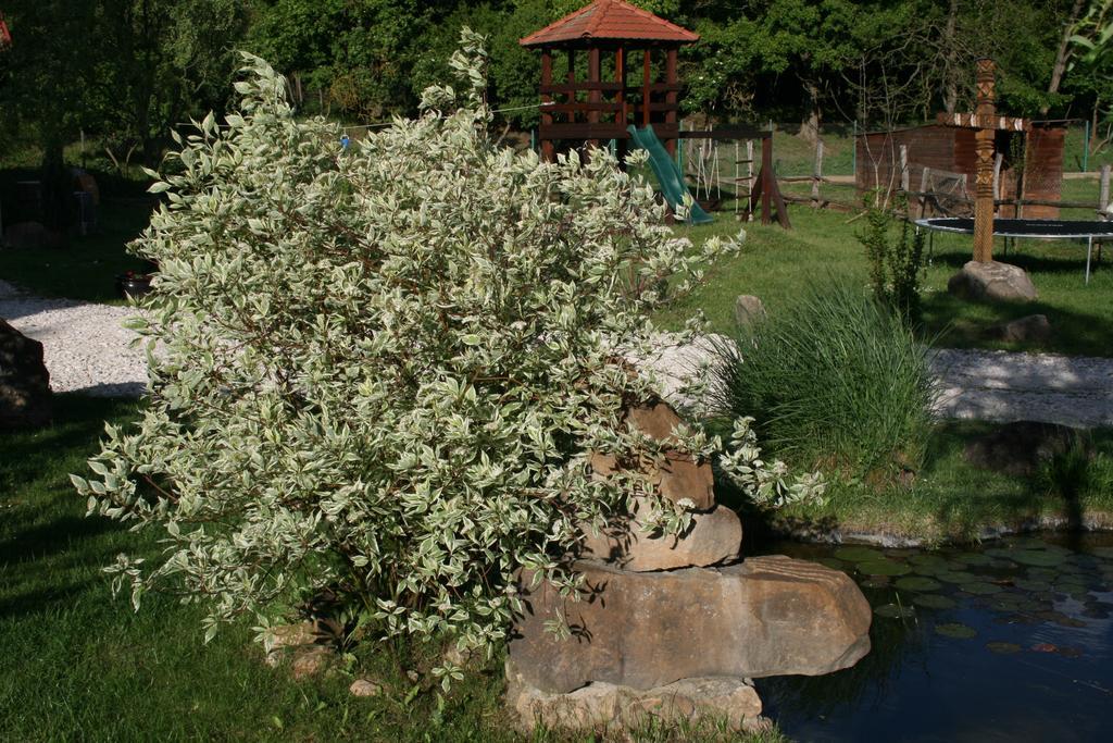 Hostal Malomdűlő Farmház Pilisborosjenő Exterior foto