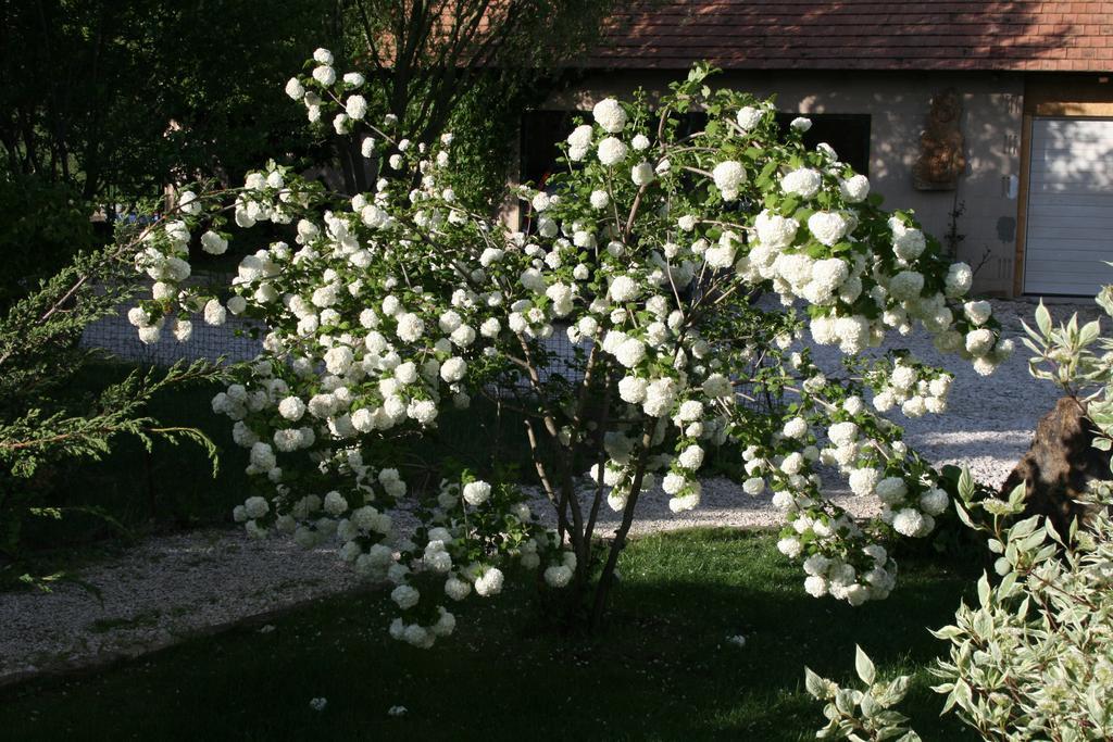 Hostal Malomdűlő Farmház Pilisborosjenő Exterior foto
