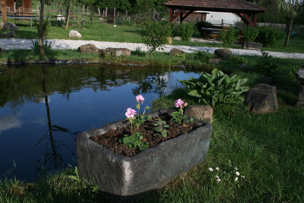 Hostal Malomdűlő Farmház Pilisborosjenő Exterior foto