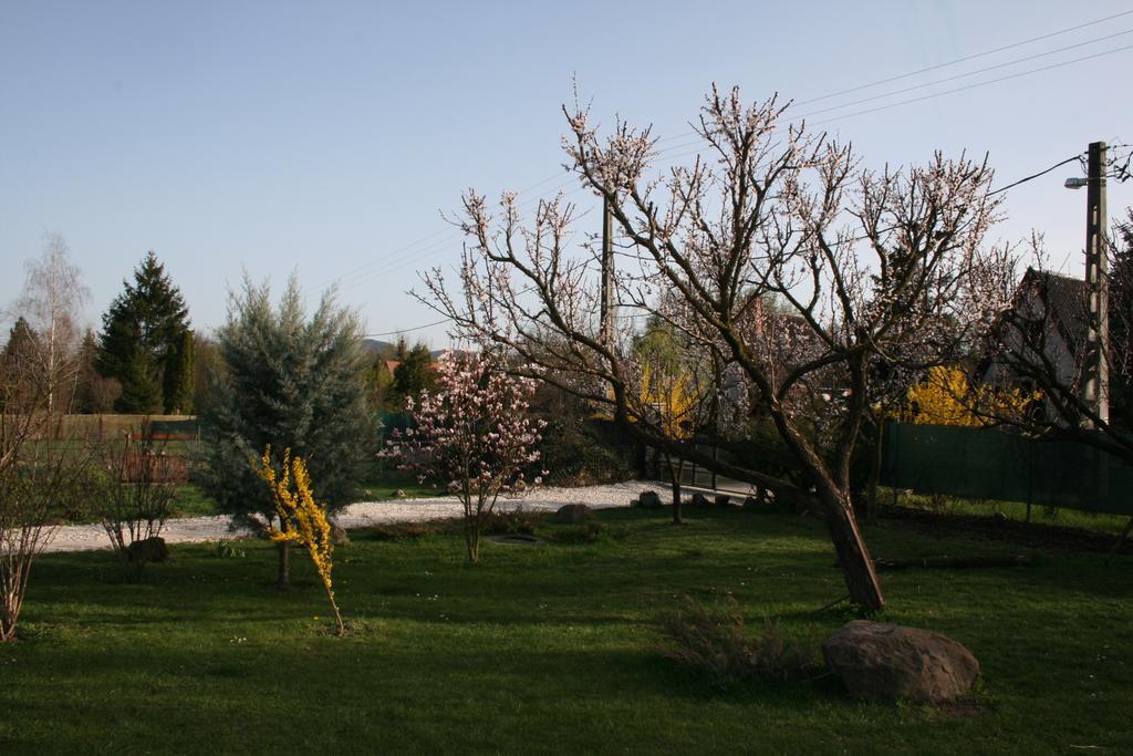 Hostal Malomdűlő Farmház Pilisborosjenő Exterior foto