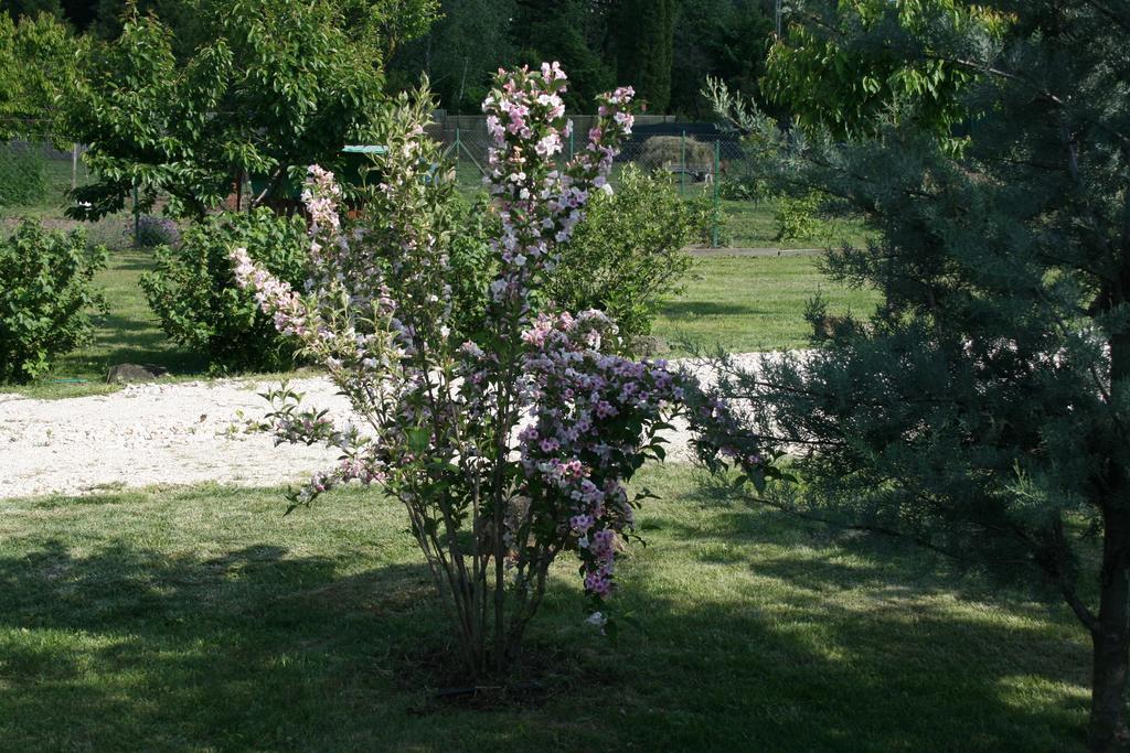 Hostal Malomdűlő Farmház Pilisborosjenő Exterior foto